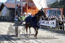Dateiname=20191026_r02_100_R02_0057.jpg
Dateigröße=140KB
Abmessungen: 750x500
hinzugefügt am: 27. Oktober 2019 20191026_r02_100_R02_0057.jpg