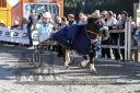 Dateiname=20191026_r05_100_R05_0072.jpg
Dateigröße=164KB
Abmessungen: 750x500
hinzugefügt am: 27. Oktober 2019 20191026_r05_100_R05_0072.jpg