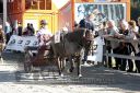 Dateiname=20191026_r05_104_R05_0080.jpg
Dateigröße=136KB
Abmessungen: 750x500
hinzugefügt am: 27. Oktober 2019 20191026_r05_104_R05_0080.jpg