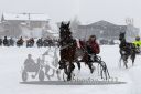 Dateiname=20220226_r02_058_R02_0107.jpg
Dateigröße=144KB
Abmessungen: 1000x667
hinzugefügt am: 27. Februar 2022 20220226_r02_058_R02_0107.jpg