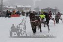 Dateiname=20220226_r03_087_R03_0025.jpg
Dateigröße=139KB
Abmessungen: 1000x667
hinzugefügt am: 27. Februar 2022 20220226_r03_087_R03_0025.jpg