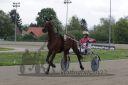 Dateiname=20220508_r07_010_R07_0020.jpg
Dateigröße=153KB
Abmessungen: 1000x667
hinzugefügt am: 09. Mai 2022 20220508_r07_010_R07_0020.jpg