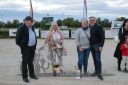 Dateiname=20220710_r11_131_R11_0269.jpg
Dateigröße=167KB
Abmessungen: 1000x667
hinzugefügt am: 12. Juli 2022 20220710_r11_131_R11_0269.jpg