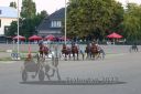 Dateiname=20220821_r13_042_R12_0085.jpg
Dateigröße=195KB
Abmessungen: 1000x667
hinzugefügt am: 29. August 2022 20220821_r13_042_R12_0085.jpg