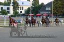 Dateiname=20220821_r13_049_R12_0093.jpg
Dateigröße=182KB
Abmessungen: 1000x667
hinzugefügt am: 29. August 2022 20220821_r13_049_R12_0093.jpg
