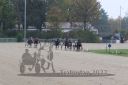 Dateiname=20221019_r01_128_R01_0231.jpg
Dateigröße=173KB
Abmessungen: 1000x667
hinzugefügt am: 20. Oktober 2022 20221019_r01_128_R01_0231.jpg