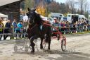 Dateiname=20221026_r05_114_R05_0207.jpg
Dateigröße=252KB
Abmessungen: 1000x667
hinzugefügt am: 27. Oktober 2022 20221026_r05_114_R05_0207.jpg