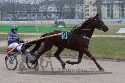 Dateiname=20230213_imp_011_R01_0056.jpg
Dateigröße=168KB
Abmessungen: 1000x667
hinzugefügt am: 15. Februar 2023 20230213_imp_011_R01_0056.jpg