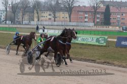 Dateiname=20230213_r01_139_R01_0421.jpg
Dateigröße=186KB
Abmessungen: 1000x667
hinzugefügt am: 14. Februar 2023 20230213_r01_139_R01_0421.jpg