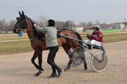 Dateiname=20230223_ja_009_CR7_0030.jpg
Dateigröße=158KB
Abmessungen: 1000x667
hinzugefügt am: 24. Februar 2023 20230223_ja_009_CR7_0030.jpg