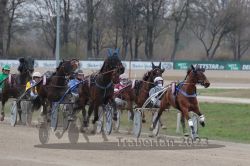 Dateiname=20230409_r02_080_RO2_0210.jpg
Dateigröße=167KB
Abmessungen: 1000x667
hinzugefügt am: 10. April 2023 20230409_r02_080_RO2_0210.jpg