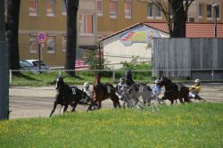 Dateiname=20230430_ja_241_IMG_0015.jpg
Dateigröße=206KB
Abmessungen: 1000x667
hinzugefügt am: 02. Mai 2023 20230430_ja_241_IMG_0015.jpg