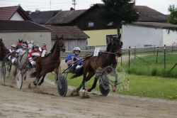 20230501_ja_165_IMG_0032.jpg