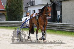 Dateiname=20230501_r01_005_R01_0009.jpg
Dateigröße=186KB
Abmessungen: 1000x667
hinzugefügt am: 02. Mai 2023 20230501_r01_005_R01_0009.jpg
