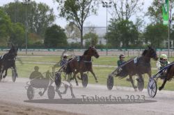 Dateiname=20230514_r11_011_R11_0019.jpg
Dateigröße=173KB
Abmessungen: 1000x667
hinzugefügt am: 16. Mai 2023 20230514_r11_011_R11_0019.jpg