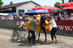 Dateiname=20230529_r01_145_C7D_0185.jpg
Dateigröße=247KB
Abmessungen: 1000x667
hinzugefügt am: 31. Mai 2023 20230529_r01_145_C7D_0185.jpg