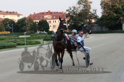 Dateiname=20230709_r09_155_R09_0439.jpg
Dateigröße=175KB
Abmessungen: 1000x667
hinzugefügt am: 11. Juli 2023 20230709_r09_155_R09_0439.jpg