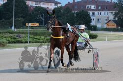 Dateiname=20230709_r12_005_R12_0027.jpg
Dateigröße=175KB
Abmessungen: 1000x667
hinzugefügt am: 12. Juli 2023 20230709_r12_005_R12_0027.jpg