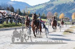 Dateiname=20231022_r01_147_RO1_0394.jpg
Dateigröße=227KB
Abmessungen: 1000x667
hinzugefügt am: 28. Oktober 2023 20231022_r01_147_RO1_0394.jpg