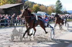 Dateiname=20231022_r01_171_RO1_0425.jpg
Dateigröße=236KB
Abmessungen: 1000x667
hinzugefügt am: 28. Oktober 2023 20231022_r01_171_RO1_0425.jpg
