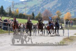 Dateiname=20231022_r02_036_RO2_0106.jpg
Dateigröße=195KB
Abmessungen: 1000x667
hinzugefügt am: 28. Oktober 2023 20231022_r02_036_RO2_0106.jpg