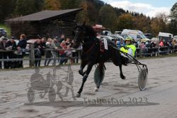 Dateiname=20231022_r04_037_RO4_0111.jpg
Dateigröße=175KB
Abmessungen: 1000x667
hinzugefügt am: 28. Oktober 2023 20231022_r04_037_RO4_0111.jpg