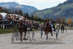 Dateiname=20231022_r04_117_RO4_0313.jpg
Dateigröße=186KB
Abmessungen: 1000x667
hinzugefügt am: 28. Oktober 2023 20231022_r04_117_RO4_0313.jpg