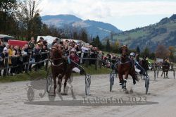 Dateiname=20231022_r04_123_RO4_0320.jpg
Dateigröße=190KB
Abmessungen: 1000x667
hinzugefügt am: 28. Oktober 2023 20231022_r04_123_RO4_0320.jpg