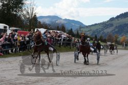 Dateiname=20231022_r04_125_RO4_0323.jpg
Dateigröße=185KB
Abmessungen: 1000x667
hinzugefügt am: 28. Oktober 2023 20231022_r04_125_RO4_0323.jpg