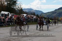 Dateiname=20231022_r04_127_RO4_0326.jpg
Dateigröße=179KB
Abmessungen: 1000x667
hinzugefügt am: 28. Oktober 2023 20231022_r04_127_RO4_0326.jpg