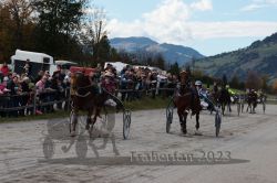 Dateiname=20231022_r04_128_RO4_0327.jpg
Dateigröße=183KB
Abmessungen: 1000x667
hinzugefügt am: 28. Oktober 2023 20231022_r04_128_RO4_0327.jpg