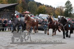 Dateiname=20231022_r05_021_RO5_0060.jpg
Dateigröße=225KB
Abmessungen: 1000x667
hinzugefügt am: 28. Oktober 2023 20231022_r05_021_RO5_0060.jpg
