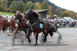 Dateiname=20231022_r05_030_RO5_0079.jpg
Dateigröße=213KB
Abmessungen: 1000x667
hinzugefügt am: 28. Oktober 2023 20231022_r05_030_RO5_0079.jpg