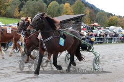 Dateiname=20231022_r05_031_RO5_0081.jpg
Dateigröße=213KB
Abmessungen: 1000x667
hinzugefügt am: 28. Oktober 2023 20231022_r05_031_RO5_0081.jpg
