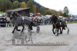 Dateiname=20231022_r05_046_RO5_0115.jpg
Dateigröße=203KB
Abmessungen: 1000x667
hinzugefügt am: 28. Oktober 2023 20231022_r05_046_RO5_0115.jpg