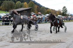 Dateiname=20231022_r05_047_RO5_0116.jpg
Dateigröße=209KB
Abmessungen: 1000x667
hinzugefügt am: 28. Oktober 2023 20231022_r05_047_RO5_0116.jpg