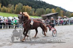 Dateiname=20231022_r05_056_RO5_0133.jpg
Dateigröße=208KB
Abmessungen: 1000x667
hinzugefügt am: 28. Oktober 2023 20231022_r05_056_RO5_0133.jpg