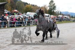 Dateiname=20231022_r05_072_RO5_0165.jpg
Dateigröße=207KB
Abmessungen: 1000x667
hinzugefügt am: 28. Oktober 2023 20231022_r05_072_RO5_0165.jpg