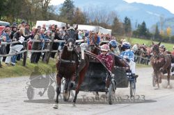 Dateiname=20231022_r07_122_RO7_0416.jpg
Dateigröße=203KB
Abmessungen: 1000x667
hinzugefügt am: 28. Oktober 2023 20231022_r07_122_RO7_0416.jpg
