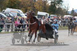 Dateiname=20231022_r07_133_RO7_0443.jpg
Dateigröße=199KB
Abmessungen: 1000x667
hinzugefügt am: 28. Oktober 2023 20231022_r07_133_RO7_0443.jpg