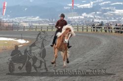 Dateiname=20231226_r06_019_R06_0037.jpg
Dateigröße=296KB
Abmessungen: 1000x667
hinzugefügt am: 27. Dezember 2023 20231226_r06_019_R06_0037.jpg