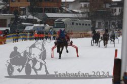 Dateiname=20240106_r01_089_R01_0177.jpg
Dateigröße=260KB
Abmessungen: 1000x667
hinzugefügt am: 07. Januar 2024 20240106_r01_089_R01_0177.jpg