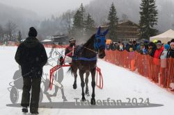 Dateiname=20240106_r01_111_R01_0209.jpg
Dateigröße=282KB
Abmessungen: 1000x667
hinzugefügt am: 07. Januar 2024 20240106_r01_111_R01_0209.jpg