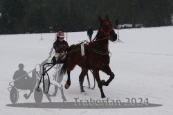 Dateiname=20240106_r02_031_R02_0064.jpg
Dateigröße=189KB
Abmessungen: 1000x667
hinzugefügt am: 07. Januar 2024 20240106_r02_031_R02_0064.jpg