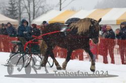 Dateiname=20240106_r03_003_R05_0007.jpg
Dateigröße=255KB
Abmessungen: 1000x667
hinzugefügt am: 07. Januar 2024 20240106_r03_003_R05_0007.jpg