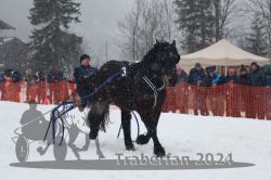 Dateiname=20240106_r03_005_R05_0010.jpg
Dateigröße=276KB
Abmessungen: 1000x667
hinzugefügt am: 07. Januar 2024 20240106_r03_005_R05_0010.jpg