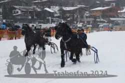 Dateiname=20240106_r03_041_R05_0079.jpg
Dateigröße=287KB
Abmessungen: 1000x667
hinzugefügt am: 07. Januar 2024 20240106_r03_041_R05_0079.jpg