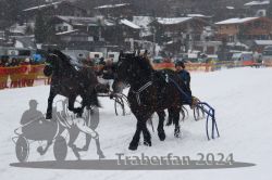 Dateiname=20240106_r03_042_R05_0081.jpg
Dateigröße=276KB
Abmessungen: 1000x667
hinzugefügt am: 07. Januar 2024 20240106_r03_042_R05_0081.jpg