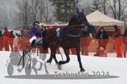 Dateiname=20240106_r05_011_R03_0265.jpg
Dateigröße=271KB
Abmessungen: 1000x667
hinzugefügt am: 07. Januar 2024 20240106_r05_011_R03_0265.jpg