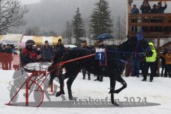 Dateiname=20240106_r05_147_R03_0530.jpg
Dateigröße=273KB
Abmessungen: 1000x667
hinzugefügt am: 07. Januar 2024 20240106_r05_147_R03_0530.jpg